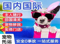 长白山航空物流国际宠物托运 【国